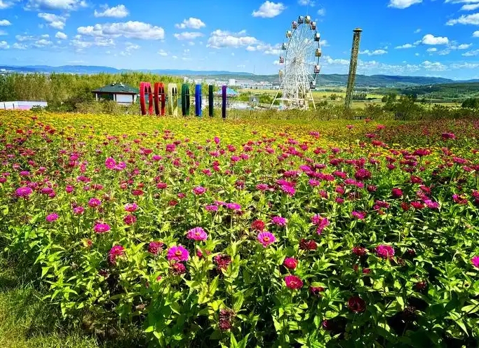 花海